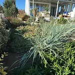 Plaka House Naxos *