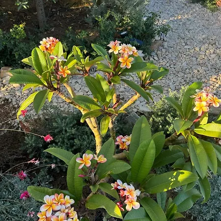 Plaka House Naxos Hébergement de vacances