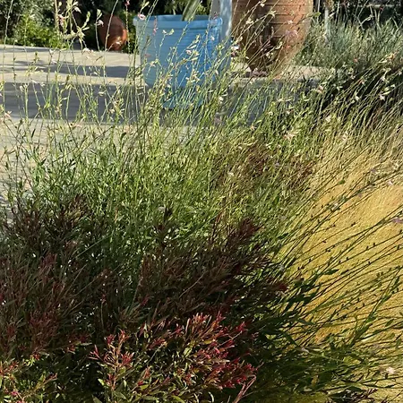 Hébergement de vacances Plaka House Naxos