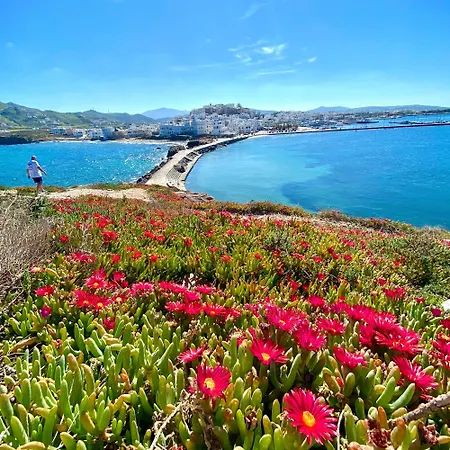 Дом отдыха Plaka House Naxos Maragkas