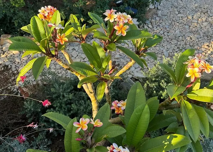 Plaka House Naxos Casa de Férias