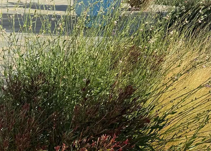 Nyaraló Plaka House Naxos