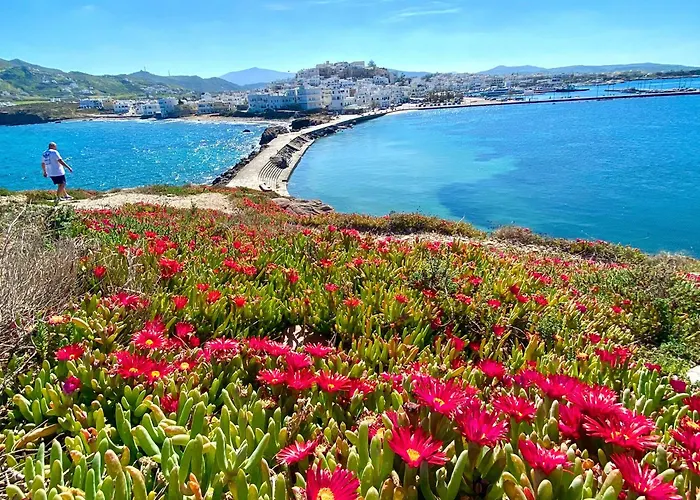 Nyaraló Plaka House Naxos Maragkas